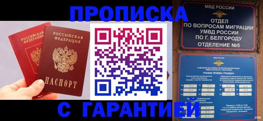 прописка 2025 в Киришах